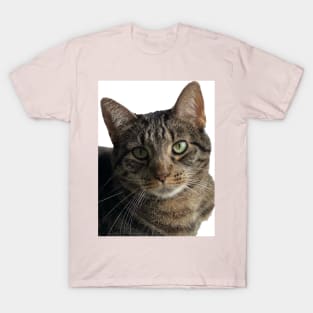 Ava Cat T-Shirt